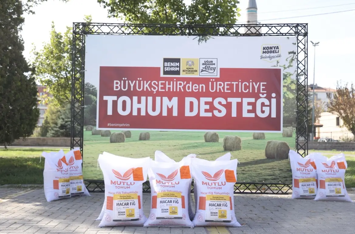 Konya Büyükşehir Belediyesi hibe destekli Macar Fiği tohumu dağıtımı ve tarımsal destek