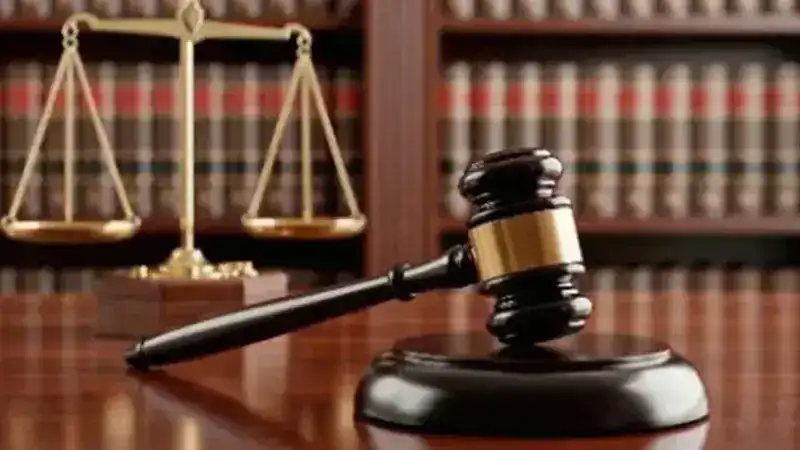 Ahbap Derneği soruşturmasında avukat Ece Güner tahliye edildi