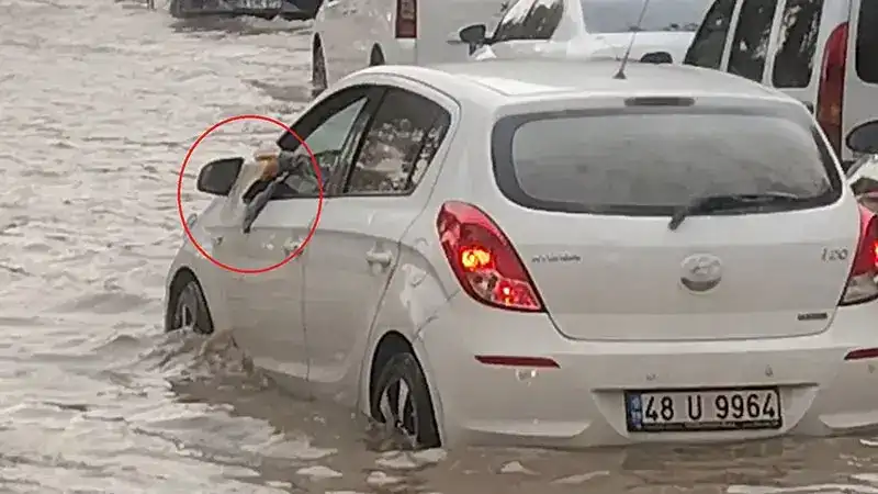 Otomobiline dolan suyu bardakla tahliye etmeye çalıştı