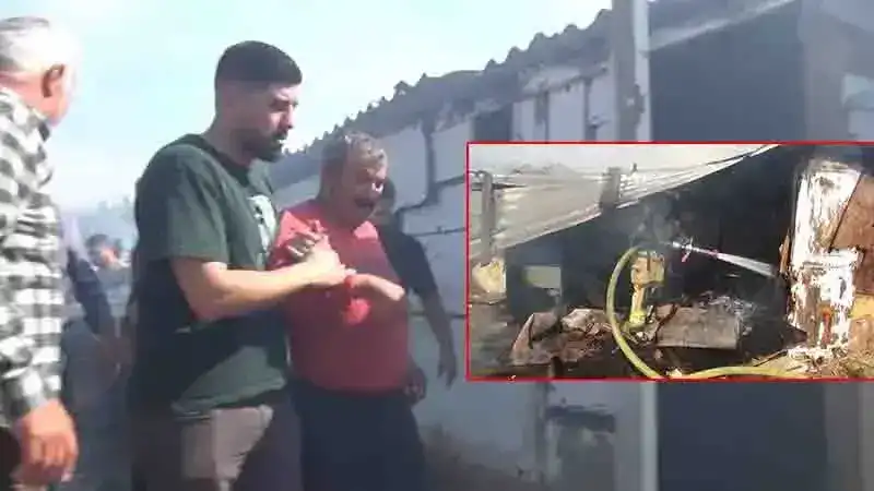 Silivri’de ahırda çıkan yangında hayvanları öldü; besici ve eşi hastaneye kaldırıldı