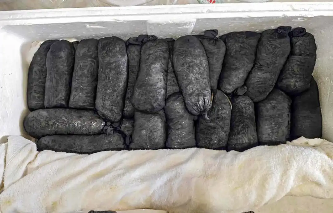 Kayseri'de 25 bin canlı sülük ele geçirildi