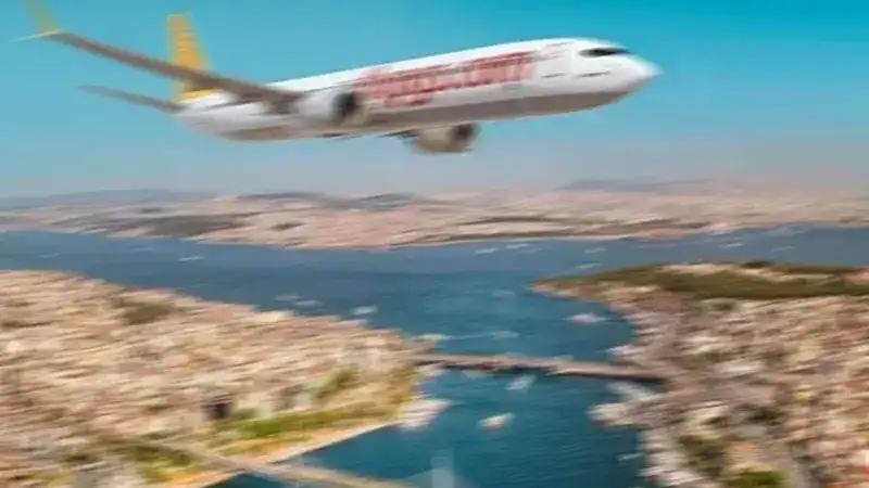 Pegasus uçağına kuş çarptı, uçak acil iniş yaptı