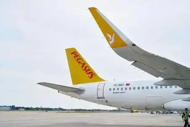 Pegasus uçağına kuş çarptı, uçak geri döndü