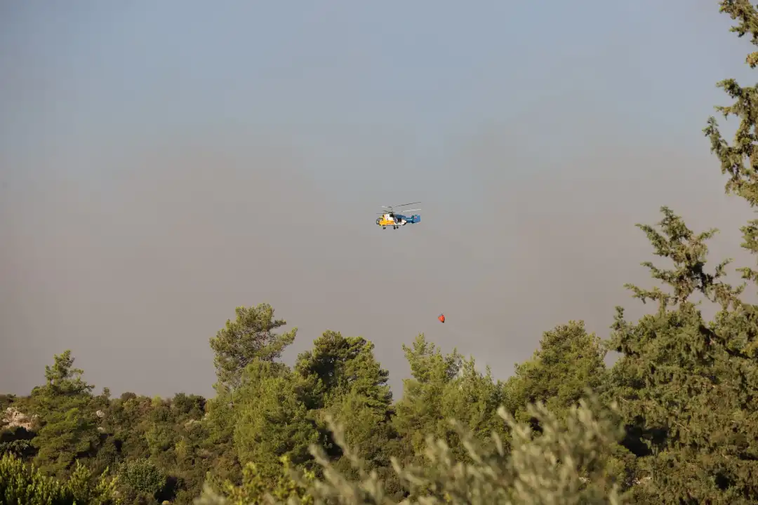 ANTALYA VE ADANA'DA ORMAN YANGINLARI: EKİPLER SEFERBER OLDU