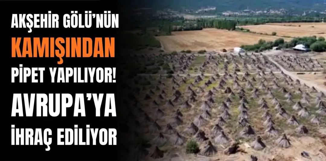 AKŞEHİR GÖLÜ’NÜN KAMIŞINDAN PİPET YAPILIYOR! AVRUPA’YA İHRAÇ EDİLİYOR