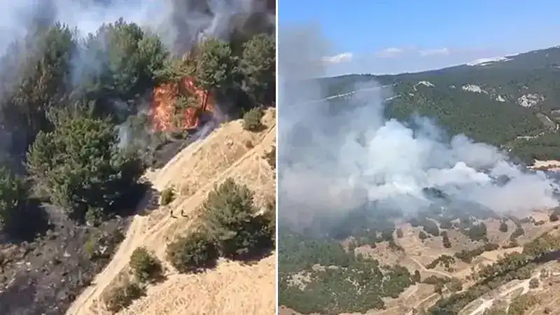 Balıkesir'de orman yangını