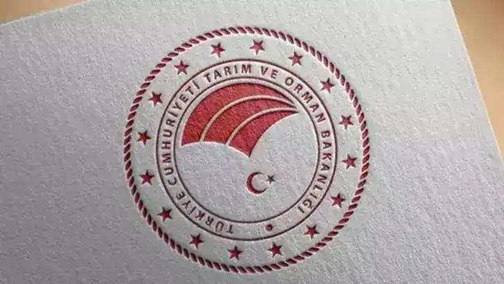 Dana sucukta domuz eti tespiti