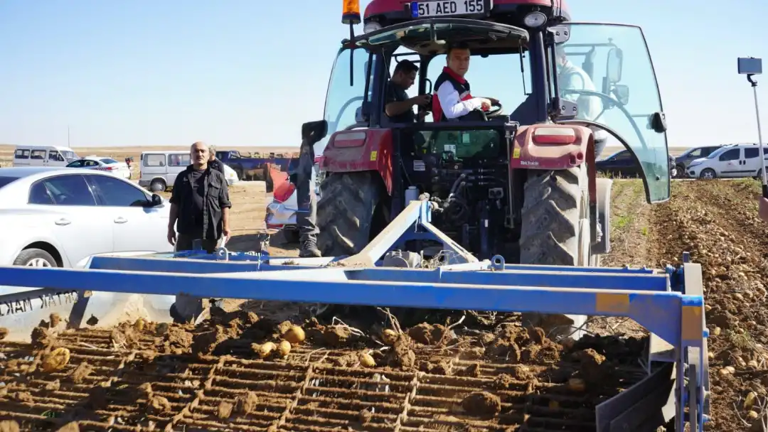 Yerli ve milli patateste 1 milyon 178 bin ton rekolte bekleniyor