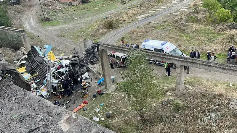 Kargo kamyonu köprüden düştü: 2 yaralı