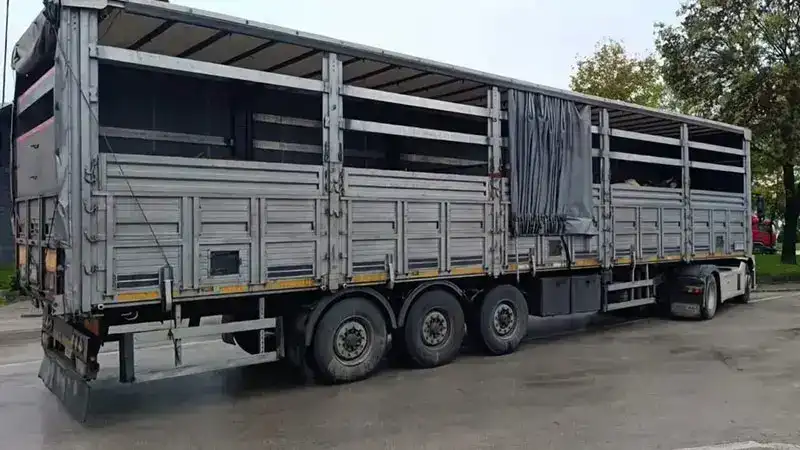 Sevk belgeleri olmayan 29 büyükbaş karantinaya alındı