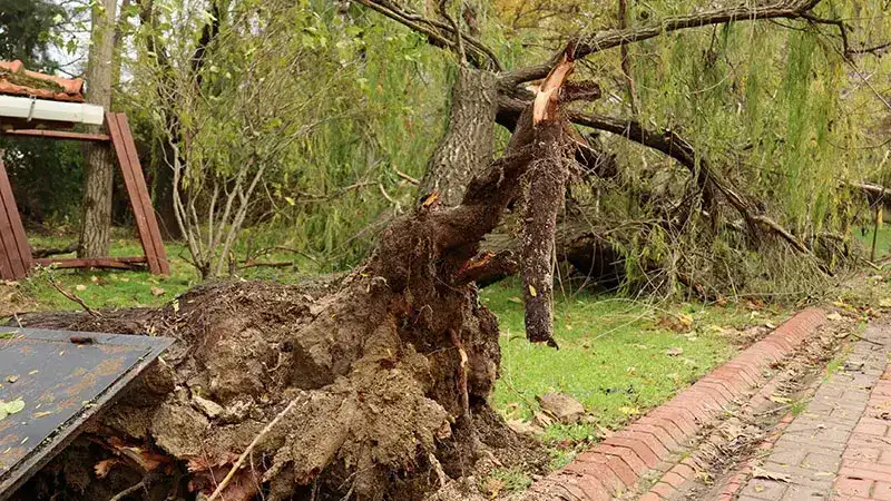 Marmara Bölgesi için ‘fırtına’ uyarısı